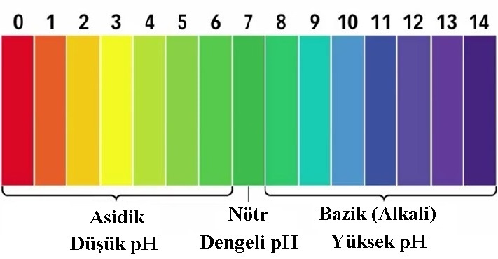 ph değeri kaç olmalı